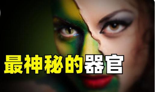 �������������٣�һ�����ͻ�Ī���������ǳ��������ǽ������ƣ�