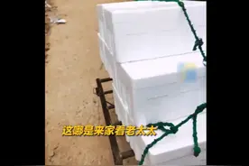 姐姐进货式回娘家妹妹调侃别回来了图片