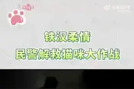 铁汉柔情，新疆民警解救被卡门缝喵星人图片