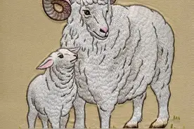 十二生肖的具体属相文化是什么呢？猪真的代表懒惰还是聪明呢？图片