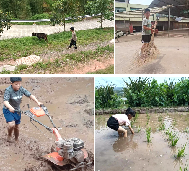 四川省民生研究会新媒体中心-官网