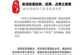 案说101个罪名㊿非法批准征收、征用、占用土地罪图片