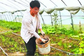 小郭爱种菜 网上晒田园图片