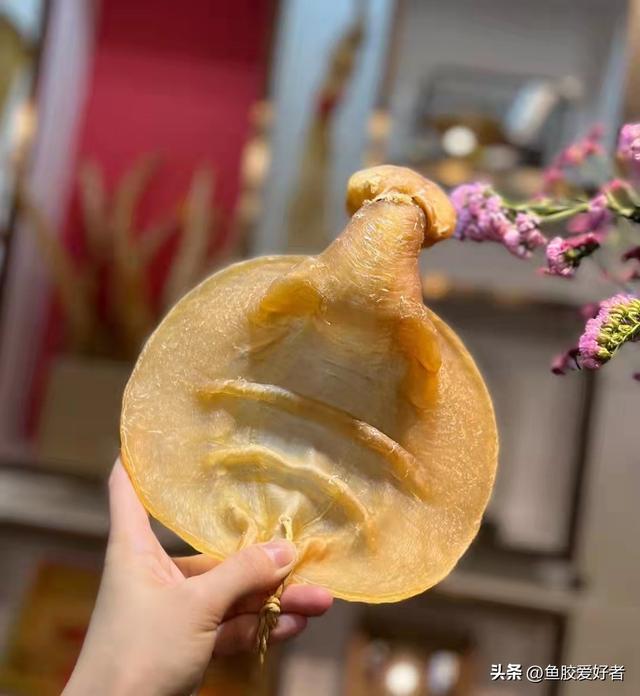 怀孕8个月还可以吃花胶吗 2026年怀孕八个月可以吃花胶吗