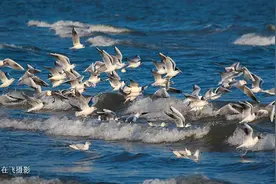 秦皇岛六条春日骑行线路，邂逅最美人间四月天~图片