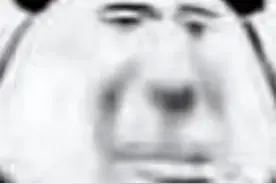 “现实中遇到女明星什么体验？？”哈哈哈哈哈网友操作笑裂开了图片