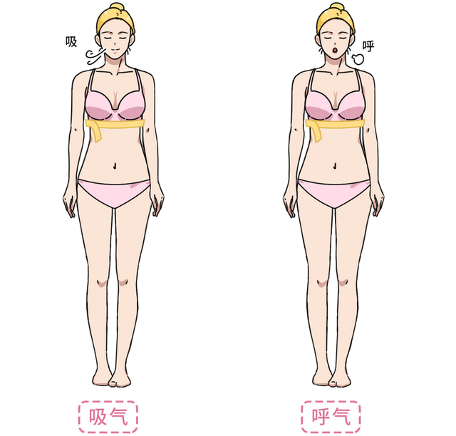 女性如何计算自己的“杯”有多大？不同形状的“杯”有何不同？