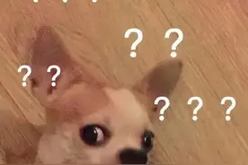 二房东花六万装修房屋，却被房东要求收回，合理吗？图片