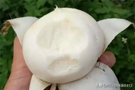 10种农村“消失”的水果，80年代常种常吃，你吃过几种？图片