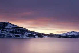 不受人摆布，如同野狼一般强大的星座图片