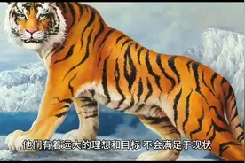 #生肖虎的人一生图片