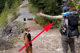 带着3个宝宝登山险遇黑熊紧紧尾随，父亲教科书般的操作挽救全家图片