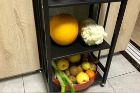 建议：橱柜底部留出一格，这4个优势，你不会想到用处有多大图片