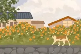 通关游戏图片
