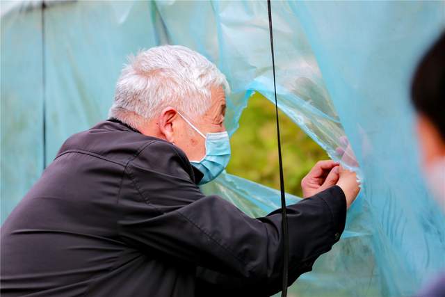 中国洛阳牡丹文化节每日花情专题播报之一含苞欲放