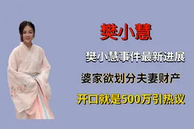 樊小慧事件最新进展，婆家欲划分夫妻财产，开口就是500万引热议图片