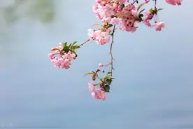 年终奖个税报错了，怎么办？图片