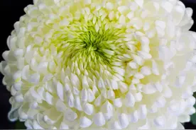 昨夜梦母说欠钱图片