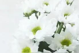 那一晚，大叔温暖的拥抱抚慰了我受伤的心图片