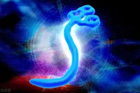 比新冠病毒还厉害的埃博拉病毒，从哪里来？又有多恐怖？图片