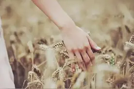 曾经，你说图片