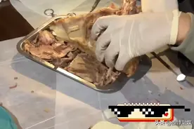 专业！医学生吃烧烤花1小时解剖猪头 网友：现场学习一举两得图片