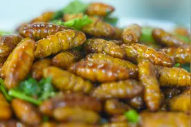 蚕蛹那么可怕，为什么还有这么多人喜欢吃？图片