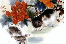 2023年喜事连连的生肖，哪些属相兔年有好事图片