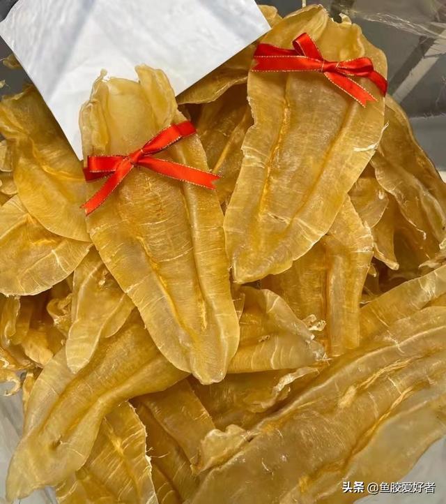 北海花胶种类图片 2026年北海花胶功效作用