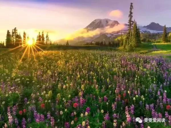 生活压力日益增长,工作滋长胡思乱想,告诫自己缓解压力方法多