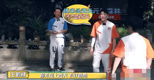 王鹤棣不认识常见的字，被嘲是绝望的文盲3.0，粉丝洗白反成笑柄