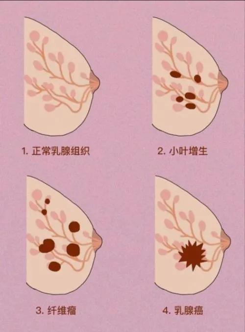 长孙涵涤