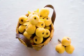 苏州东山白沙枇杷价格公布！西山青种枇杷上市时间已定！图片