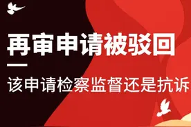 再审申请被驳回，该申请检察监督还是抗诉？一文讲清！图片