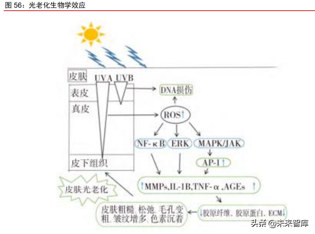 美妆及化妆品原料行业深度专题：原料江湖，谁主沉浮（上）