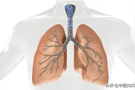 肺炎好转会有哪些信号？你必须知道图片