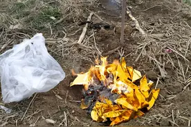 老人说：“上坟不带4人，世代昌盛”，这是哪种意思？有无道理？图片