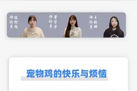 今评弹·她们说丨 宠物界新晋“顶流”芦丁鸡的红与黑图片