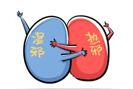 湿热在哪病在哪，在肝胁痛口苦，在胃胀气胃痛，在肠窜稀大便黏图片