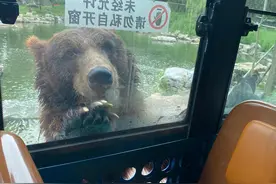 北京大兴野生动物园图片