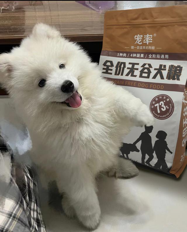 狗狗丢了怎么办？学会这6招，让狗狗“重返家园”
