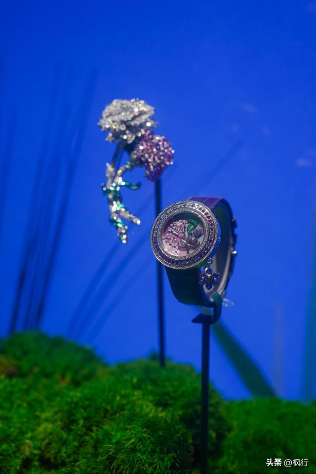 꾭䣬ʱű龭ѴչӭɫйϦ