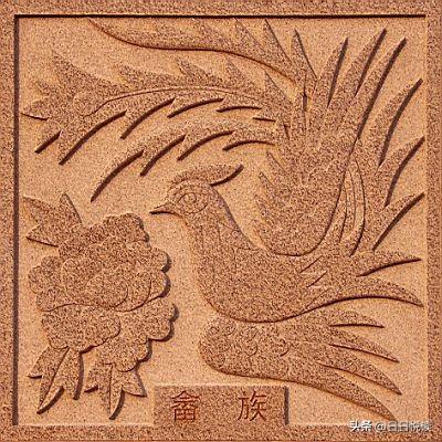 中华56个民族图腾，博大精深的中华民族传统文化