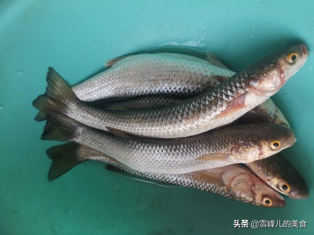 它“天然健脑”4块钱一斤胜过吃肉，健脑补钙营养好，不懂吃可惜