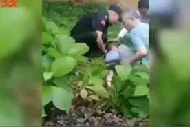 3岁男童坠楼案，更多细节披露，8岁疑凶多次说谎，他是真凶吗？图片