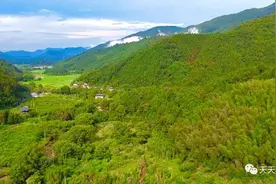 首次发现！鹰潭贵南笔架峰野生猕猴成群蹿跳……图片