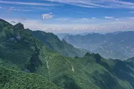 历时3年！重庆阴条岭调查发现74种重点保护野生植物 其中2个属新种图片