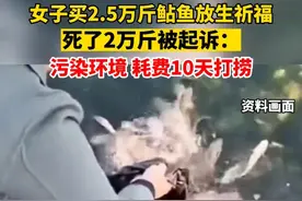 女子买2.5万斤鲇鱼放生祈福，死了2万斤被起诉：污染环境 耗费10天打捞图片