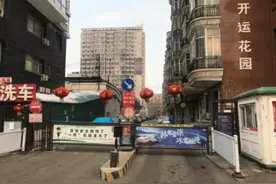 姑姑买我家楼房未果，连哭带嚎在我家耗了俩月，临走拽走两捆大葱图片