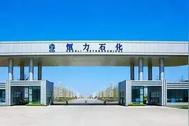 恒力石化股份有限公司图片